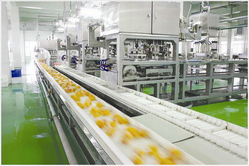 食品生產(chǎn)車(chē)間人流與物流的工程技術(shù)服務(wù) 保障安全與效率的雙重維度