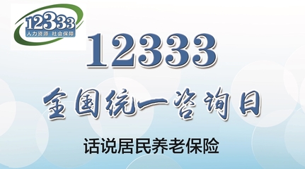12333全國統(tǒng)一咨詢?nèi)?詳解淄博市居民養(yǎng)老保險(xiǎn)，社會經(jīng)濟(jì)咨詢服務(wù)在身邊